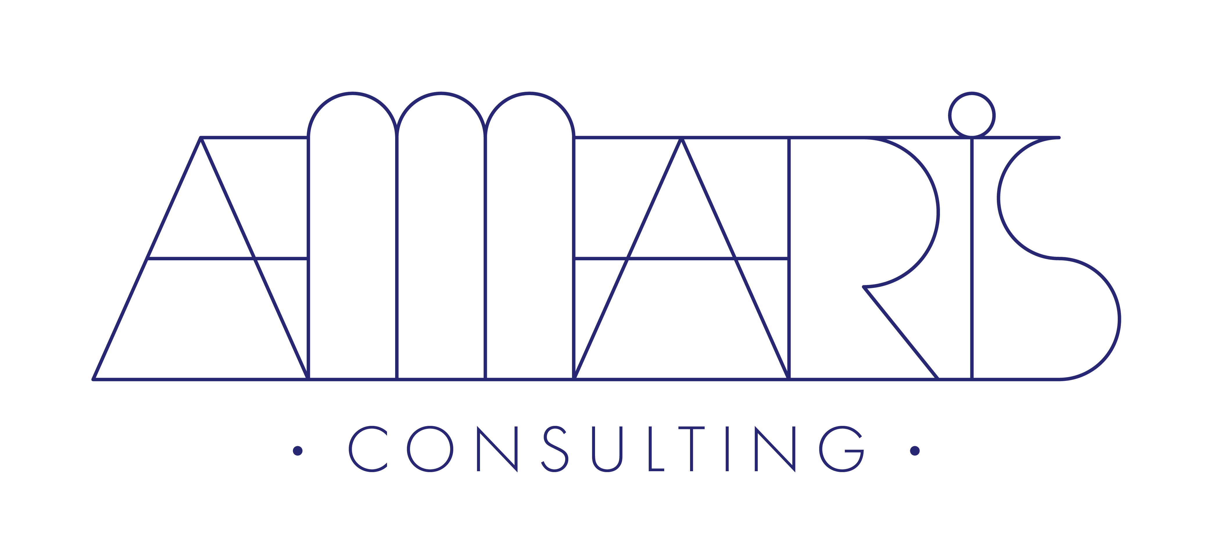 Amaris Consulting